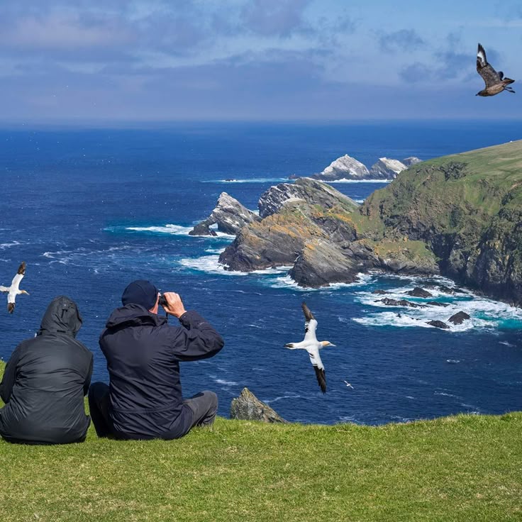 big garden birdwatch january 27, 2023 national…